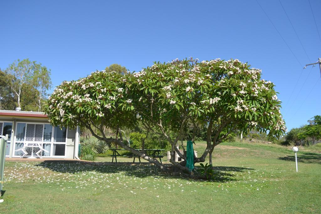 Ocean View Motel Bowen Eksteriør billede